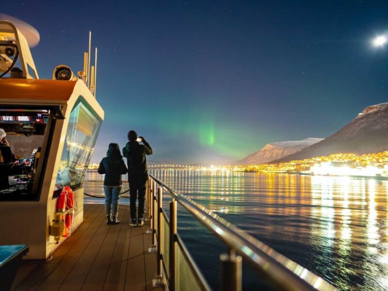 Tromsø: Electric Northern Lights Cruise - Key Points