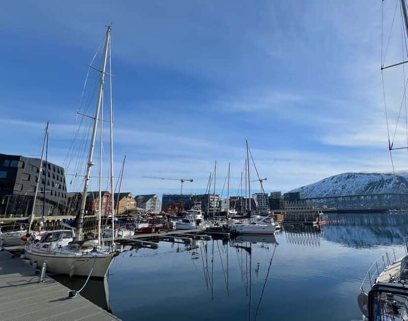 Tromsø: Evening City Walking Tour with Arctic Stories - Key Points