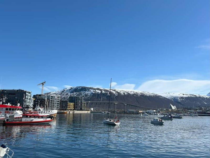 Tromsø: Evening City Walking Tour with Arctic Stories - Who Will Love This Experience?