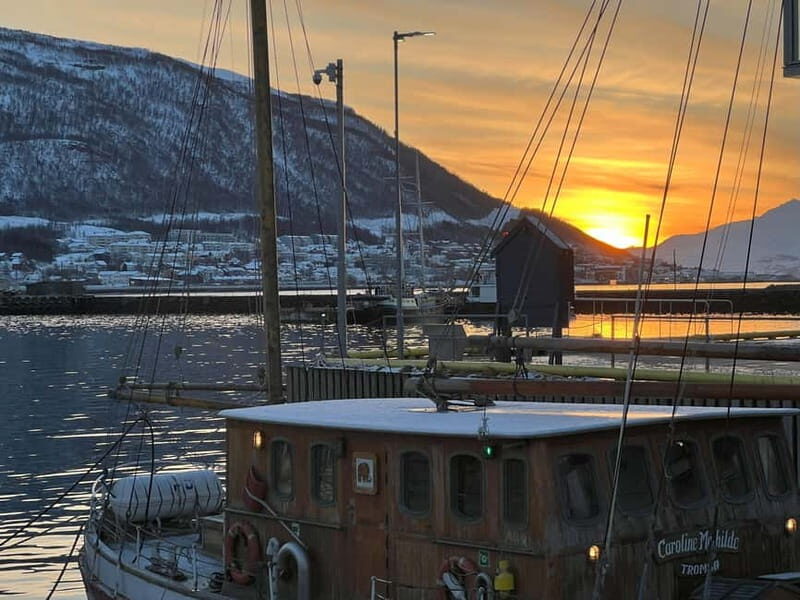 Tromsø: Evening City Walking Tour with Arctic Stories - FAQ