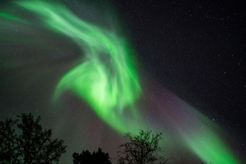 Tromsø: Evening Cruise with Northern Lights Opportunity - The Experience in Detail