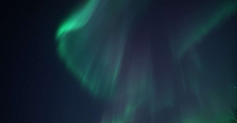 Tromsø: Evening Cruise with Northern Lights Opportunity - Who Would Love This Tour?