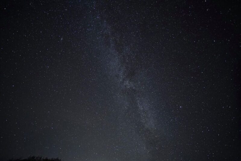 Tromsø: Evening Cruise with Northern Lights Opportunity - Final Thoughts