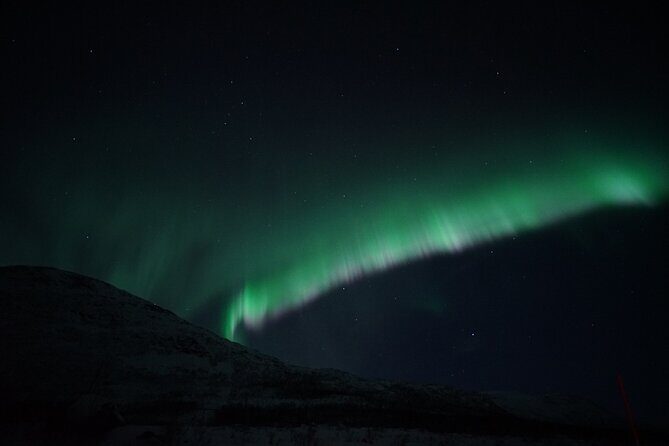 Tromsø: Evening Cruise with Northern Lights Opportunity - The Sum Up