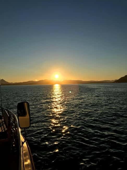 Tromsø: Evening Sightseeing Cruise All-inclusive - Key Points