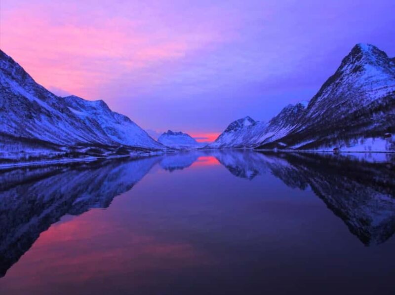 Tromsø: Evening Sightseeing Cruise All-inclusive - The Experience: What to Expect on the Tromsø Evening Cruise