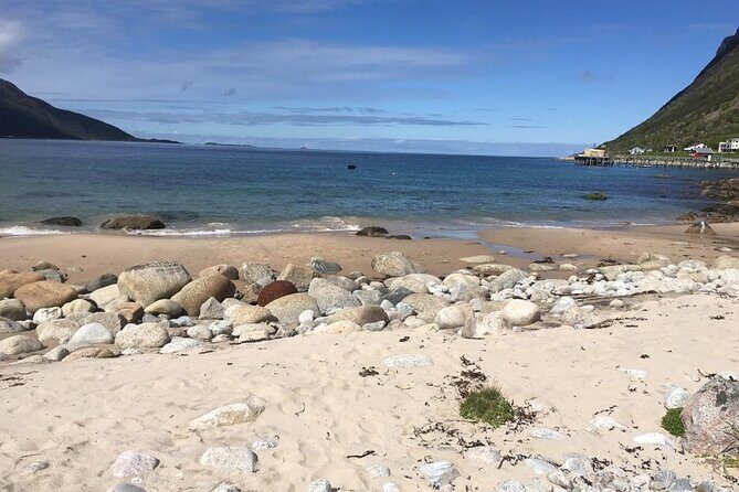 Tromsø: Exclusive Fjord Adventure by Bus - Authentic Experiences & What Reviewers Say