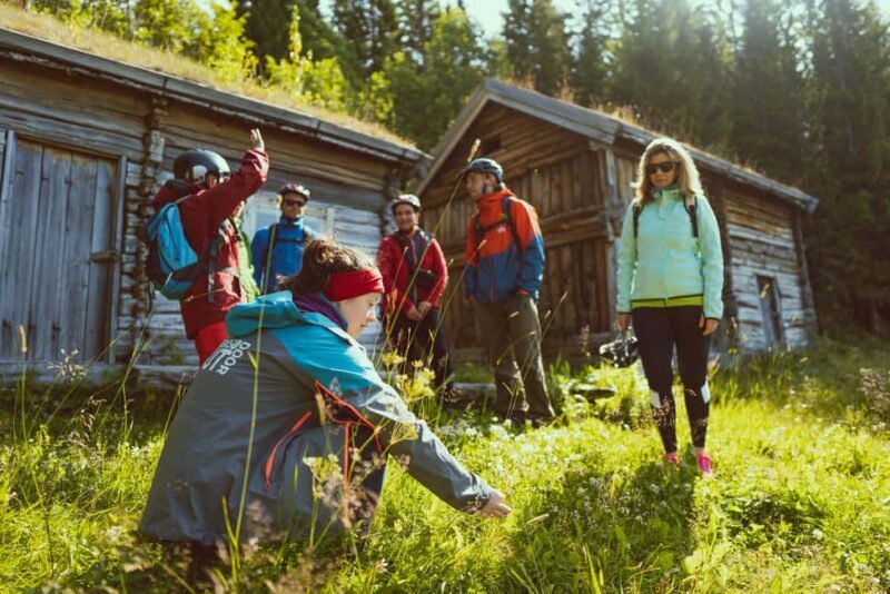 Tromsø: Explore Tromso by E-bike - Why Choose This Tromsø E-bike Tour?