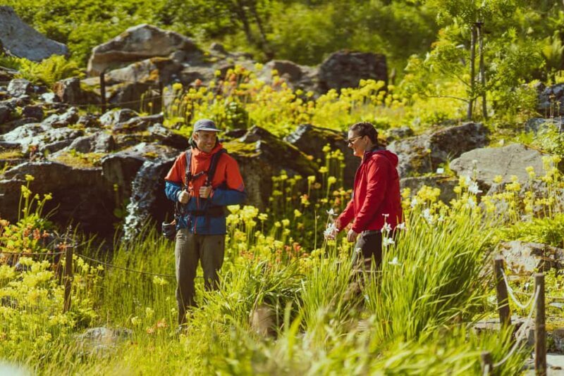 Tromsø: Explore Tromso by E-bike - Value and Pricing Analysis