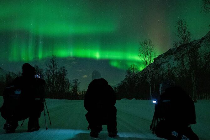 Tromsø: Express Aurora Hunt with Wandering Owl - Authentic Experiences: What Past Travelers Say