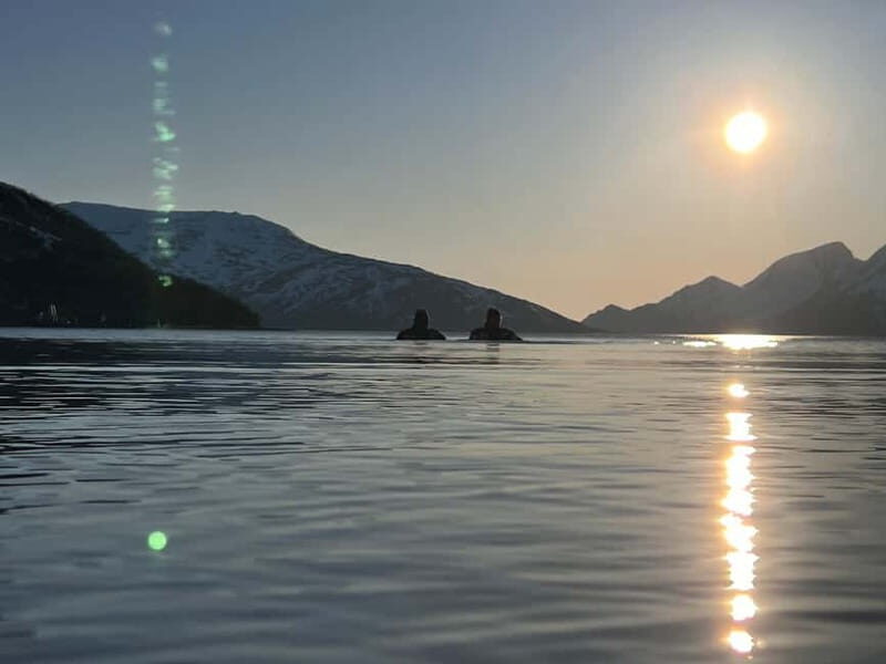 Tromsø: Fjord and Floating Safari, Arctic Floating - Who Should Consider This?