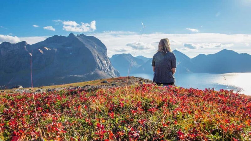 Tromso: Fjord Arctic Adventure Expedition - An Authentic Arctic Journey