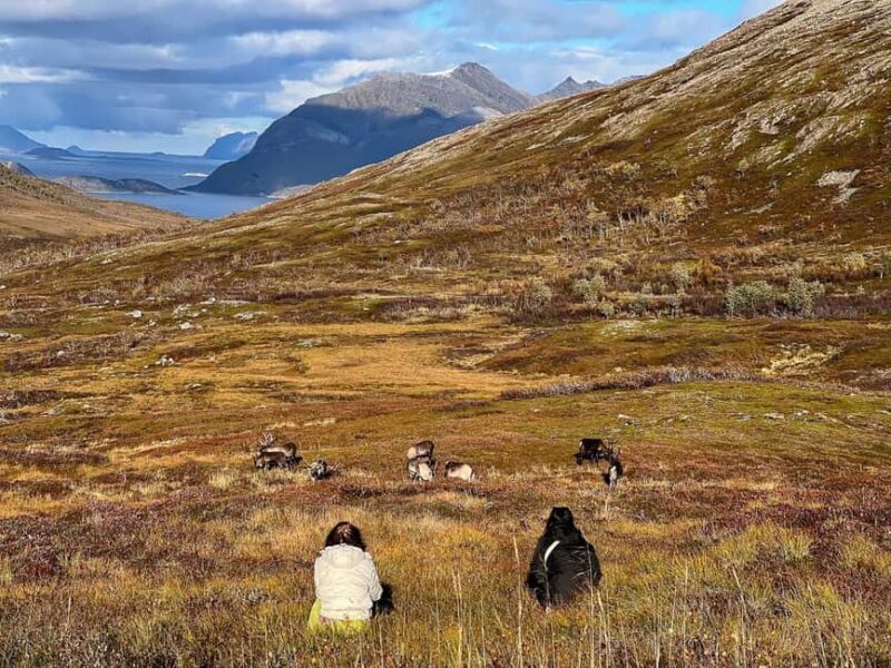 Tromso: Fjord Arctic Adventure Expedition - Authenticity and Cultural Touches
