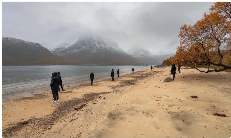 Tromso: Fjord Arctic Adventure Expedition - Final Thoughts: Is This Tour Right for You?