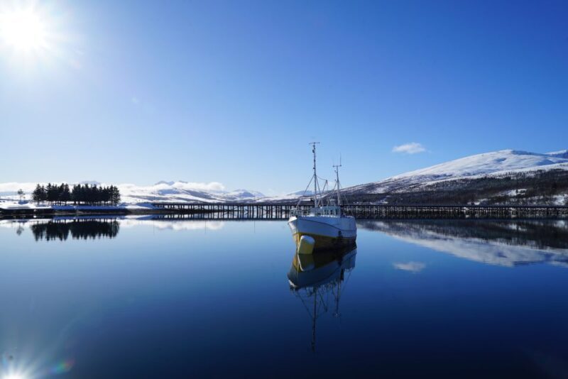 Tromsø: Fjord Cruise by Luxury Yacht - The Sum Up