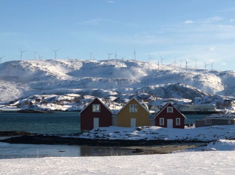 Tromsø: Fjords and Sommarøy Islands Tour with Salmon Picnic - Key Points