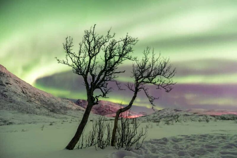 Tromso: Focused Northern Lights Hunt - An In-Depth Look at the Aurora Chase Experience