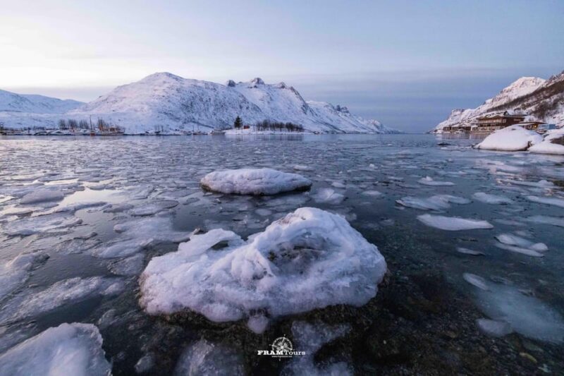Tromso: Guided Fjord Expedition in Kvaløya with Light Lunch - Key Points
