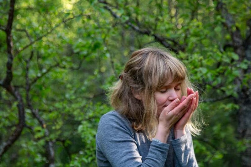 Tromsø: Guided Forest Bathing Experience - Key Points