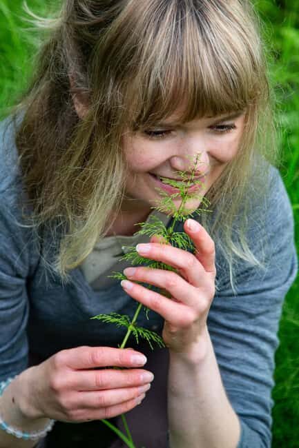 Tromsø: Guided Forest Bathing Experience - The Experience for Who?