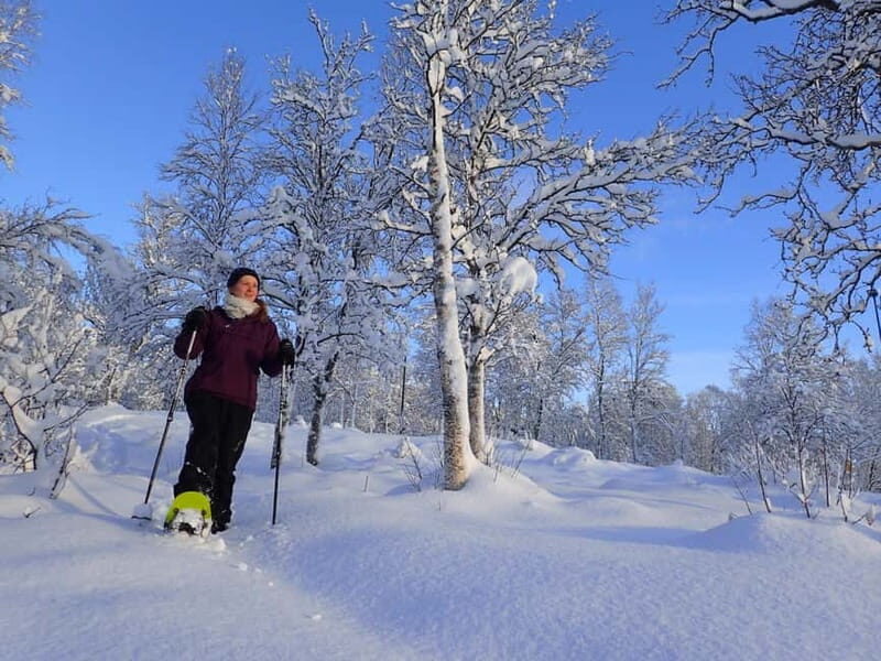 Tromsø: Guided snowshoe trip with a campfire - What Is This Tour All About?