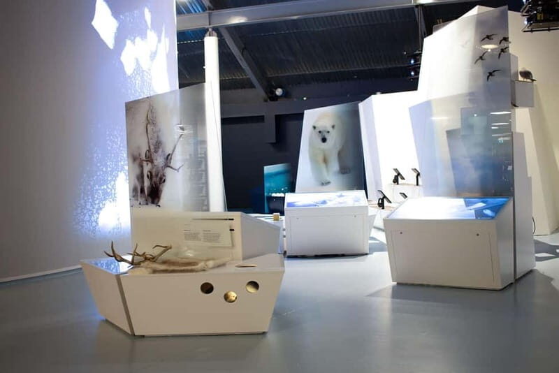 Tromsø: Guided Tour of Polaria - Key Points