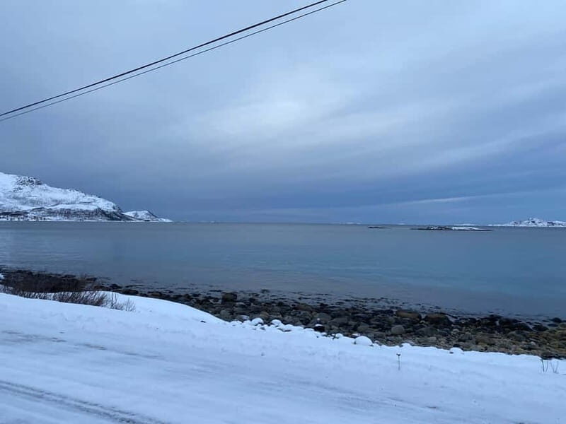 Tromsø Half-Day Tour: Fjords & Sommarøy Adventure - Key Points