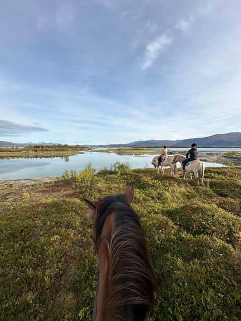 Tromsø: Horseback Riding Tour vinter/summer - An In-Depth Look at the Horseback Riding Experience