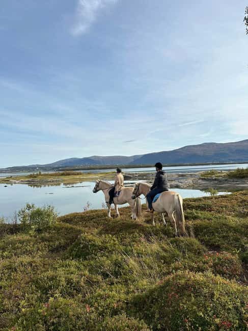 Tromsø: Horseback Riding Tour vinter/summer - Final Thoughts