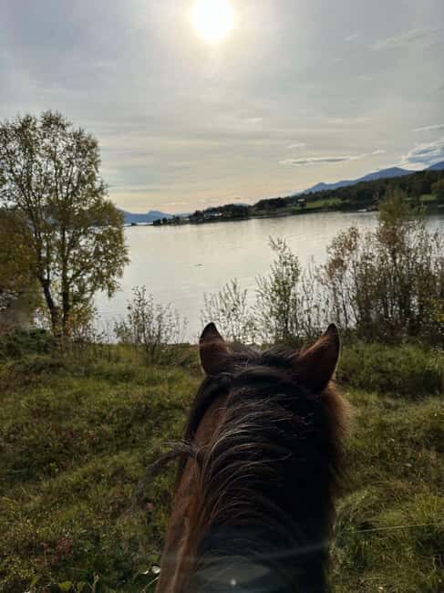 Tromsø: Horseback Riding Tour vinter/summer - FAQ