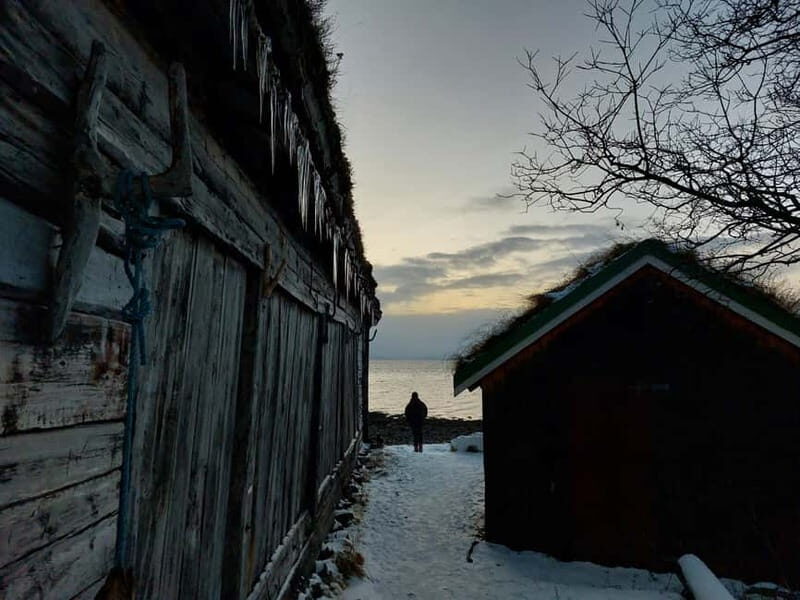 Tromsø: Island of Kvaløya Scenic Sightseeing Minibus Tour - Who Would Enjoy This Tour?