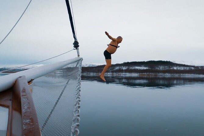 Tromso Luxury Sailing Yacht Polar Fjord Cruise with Lunch - The Experience in a Nutshell