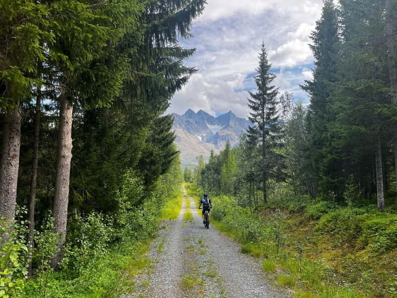 Tromsø: Lyngen Alps Electric Mountain Bike Tour - Key Points