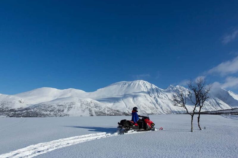 Tromsø: Lyngen Alps Snowmobile Adventure with Lunch - An In-Depth Look at the Lyngen Alps Snowmobile Tour