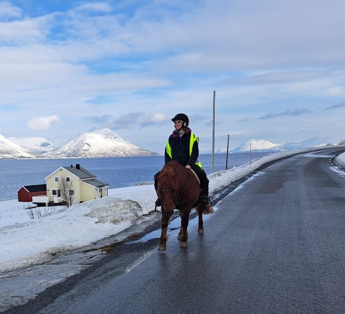 Tromsø: Lyngen Horse Winter Riding Experience - Key Points