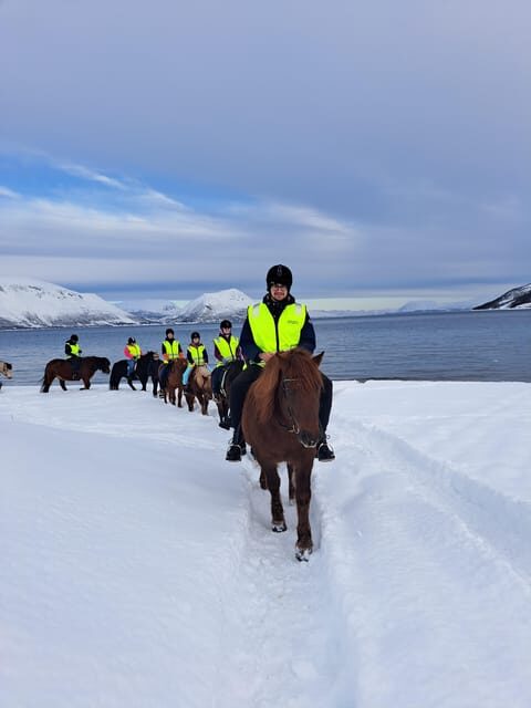 Tromsø: Lyngen Horse Winter Riding Experience - Is This Experience Right for You?