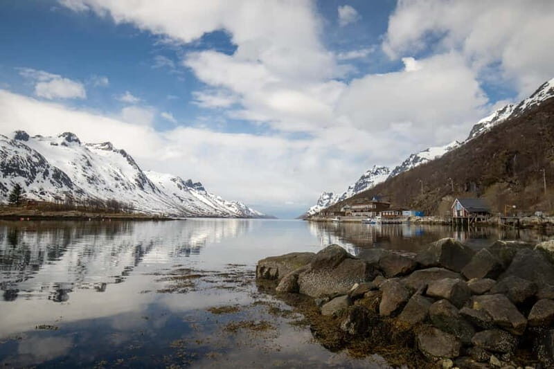 Tromsø: Northern Lights Adventure in Tromsø with Free Photos - Introduction