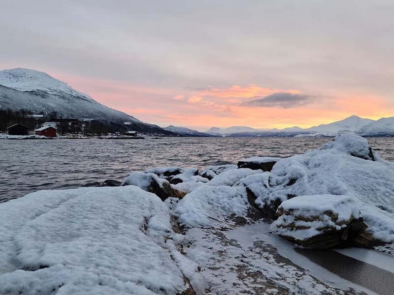 Tromsø: Northern Lights Adventure in Tromsø with Free Photos - The Sum Up