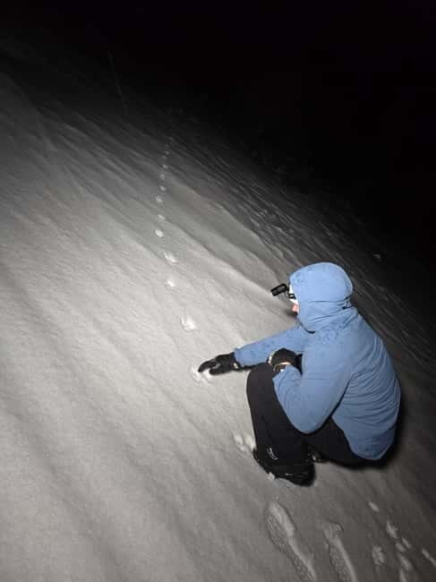 Tromsø: Northern Lights and a Starlit Adventure Tour - Key Points