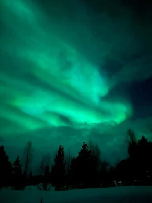 Tromsø: Northern Lights and a Starlit Adventure Tour - Who It’s Best For