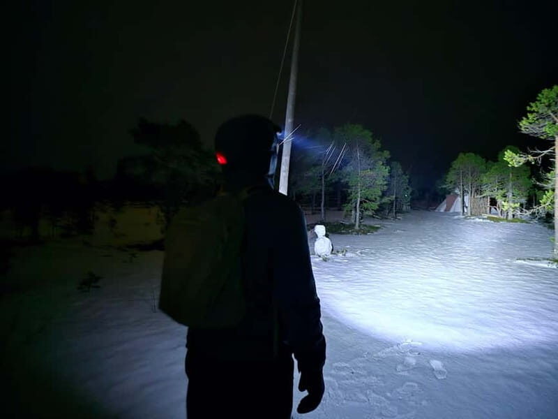 Tromsø: Northern Lights and a Starlit Adventure Tour - The Sum Up