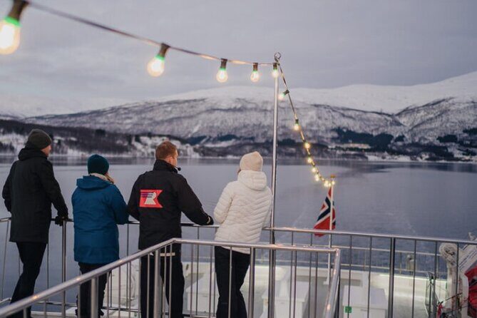 Tromsø, Northern Lights and Wilderness Evening Catamaran Cruise - Who Should Consider This Tour?