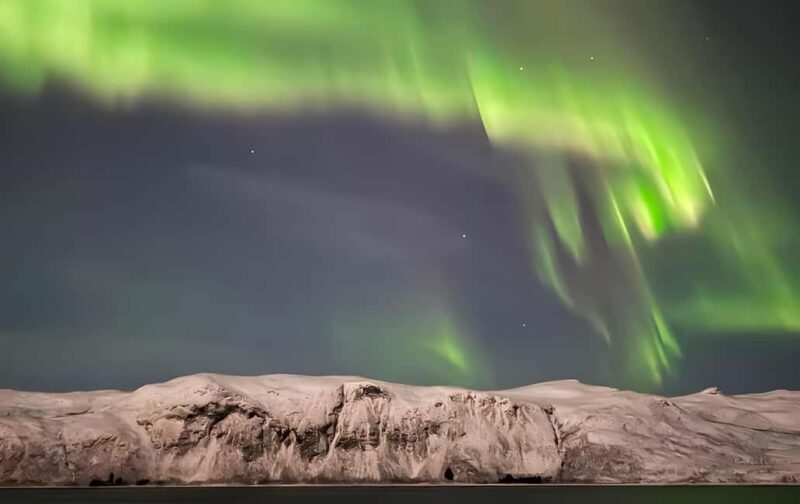 Tromsø: Northern Lights by Bus with Professional Photography - Key Points