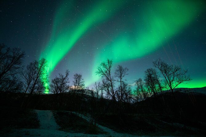 Tromsø: Northern Lights Chase Minibus Tour - FAQ