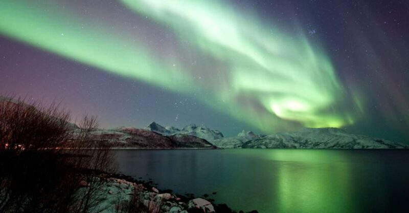 Tromsø: Northern Lights Chase with 2nd Chance Guarantee - The Itinerary: What to Expect from Start to Finish