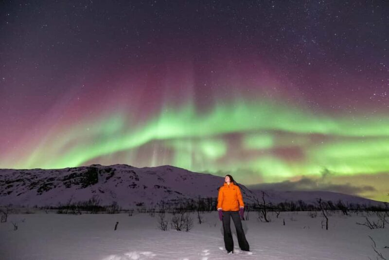 Tromsø: Northern Lights Chase with Photos and Guide - What’s Included and What’s Not