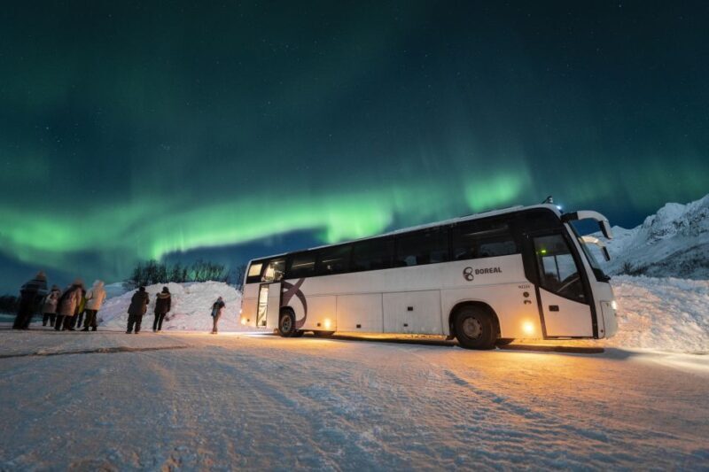 Tromsø: Northern Lights Guided Bus Tour - Key Points