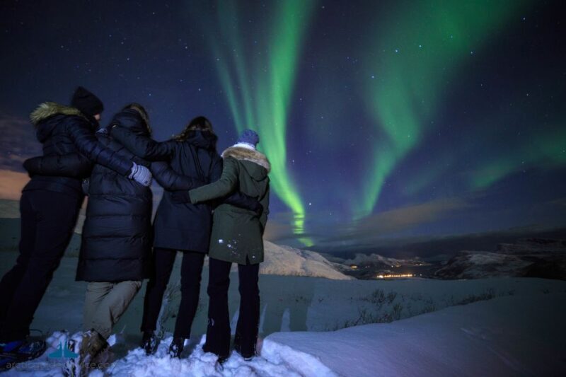Tromsø: Northern Lights Guided Bus Tour - Final Thoughts