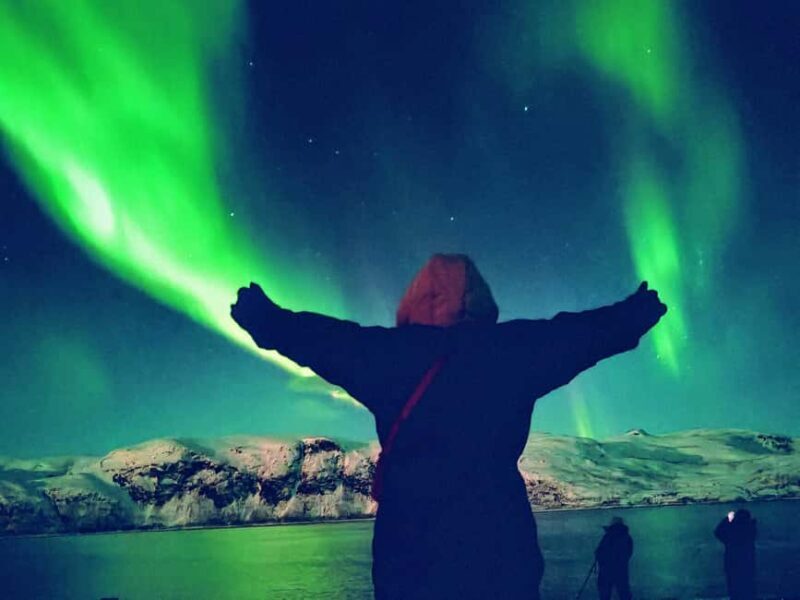 Tromsø: Northern Lights Guided Tour with Bonfire and Snacks - What’s Not Included and Considerations
