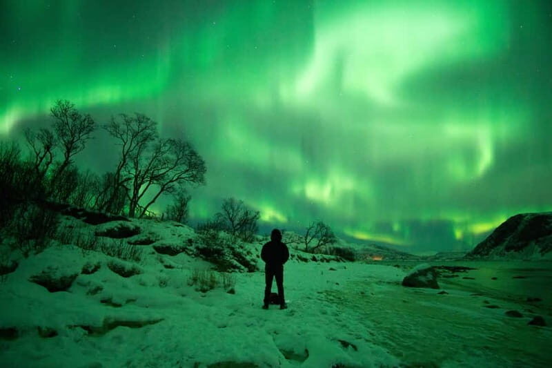 Tromsø: Northern Lights Hunt in French with Photographer - Why This Tour Works Well